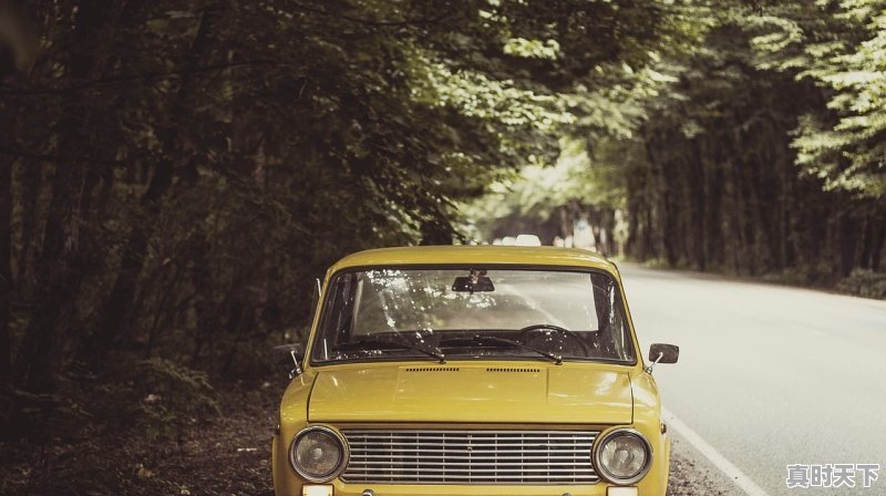 1、怎么知道自己的车是哪个版本_怎么样才能知道车子是什么版本的 - 真时天下