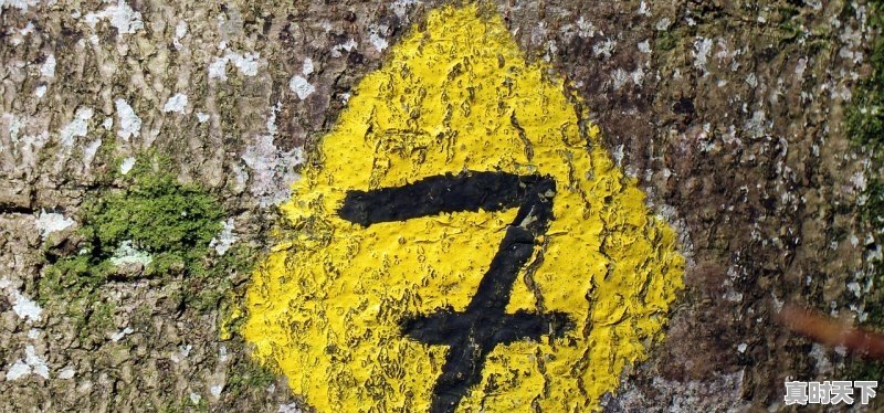 1、世界最大铝矿排名_山西境内有哪些地方有铝矿 - 真时天下