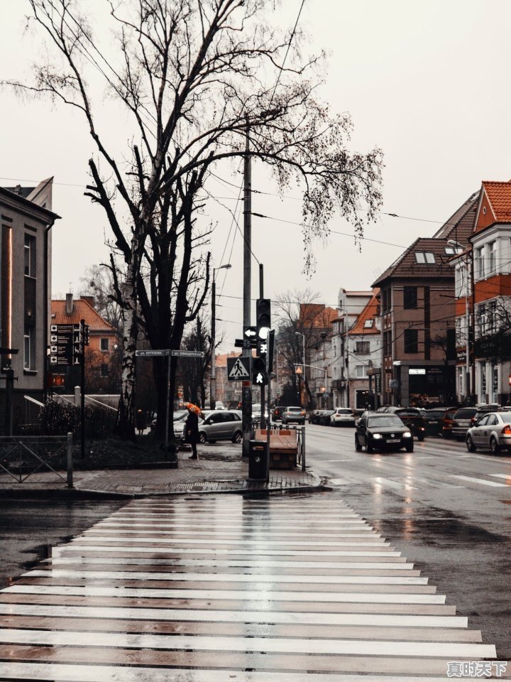 1、107国道拍限号吗,高邑县天气 - 真时天下