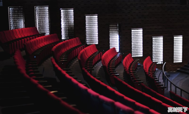 1、戛纳一种关注单元是什么意思_戛纳电影节一年一次吗 - 真时天下