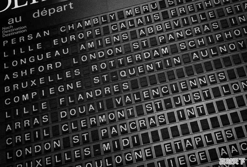 1、国漫A-soul团队都有谁_包子油条面条的动画片叫什么 - 真时天下