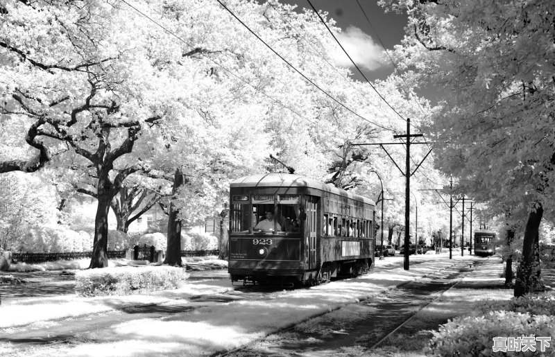 1、4月开机的影视剧_古镇泗泾必去的地方 - 真时天下