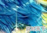 11、一个可爱呆萌的女孩子，有哪些性格特征_为什么日漫人物都那么可爱 - 真时天下