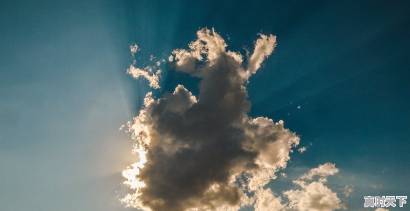 1、济南全年天气情况,济南天气15天 - 真时天下