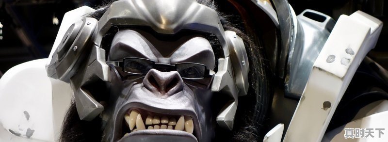 1、买二手车需要摇号吗_二手车摇号可以摇几次 - 真时天下