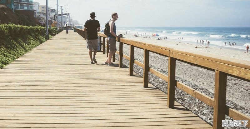 1、滨州市贝壳堤岛开放吗_滨州无棣贝壳堤岛好玩吗 - 真时天下