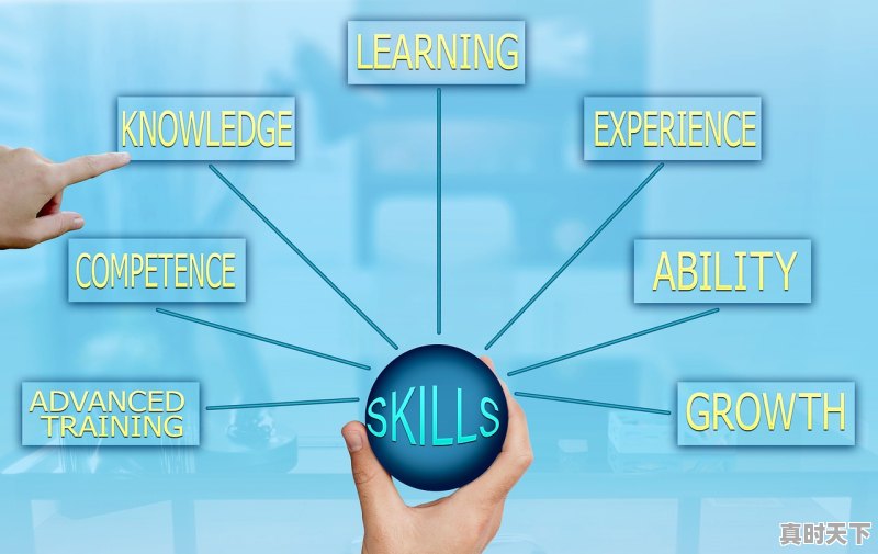 12333和12345哪个效率高 - 真时天下