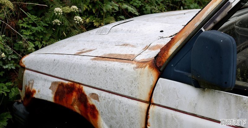 1、熊出没之重返地球中阿布你们想挠他的痒痒吗,熊出没之最新电影重返地球预告片 - 真时天下