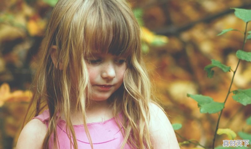 1、女号游戏名字好听文艺_前十热门游戏有哪些名字女生 - 真时天下