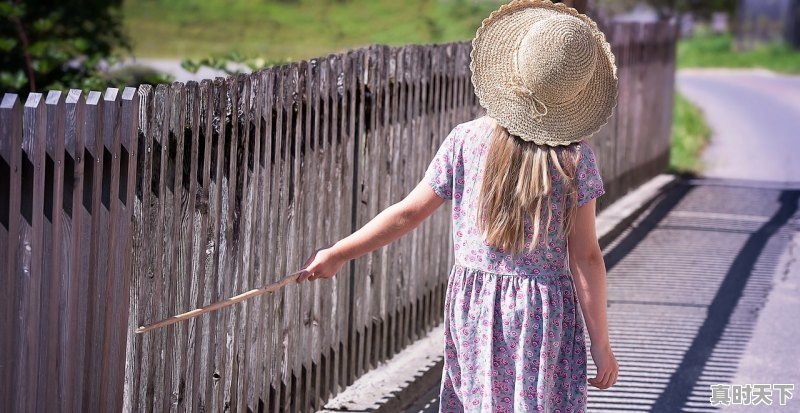 1、戛纳红毯没有被邀请能去吗，戛纳电影节可以去吗现在还有吗 - 真时天下