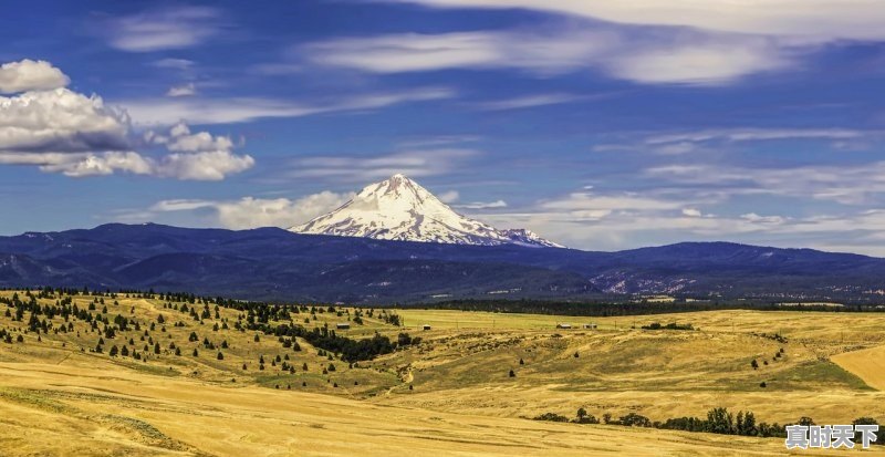 1、现在海南省的温度，应该穿什么衣服，海南现在的天气 - 真时天下