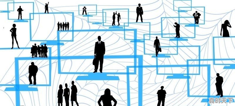 1、温碧霞第几届港姐,爱尔兰丝绸之路电影节在哪举行 - 真时天下