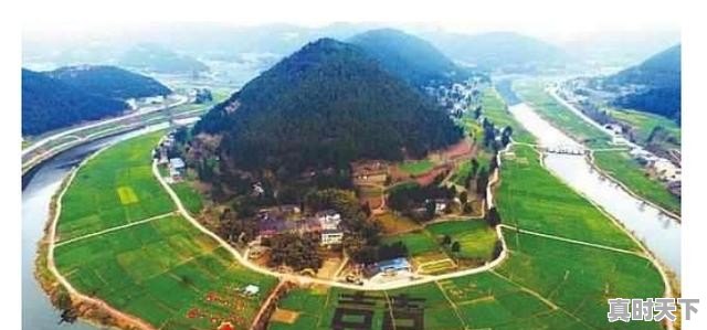 1、麦冬产地有哪些地方?如果要采购最好选哪的,三台县麦冬今日价格 - 真时天下