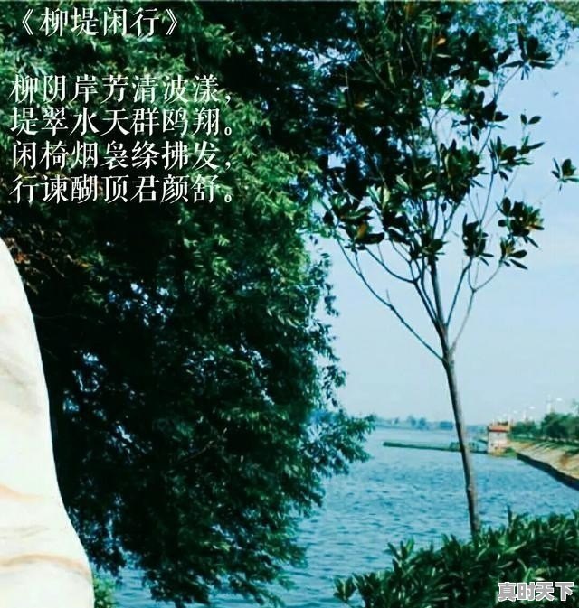 1、动漫推荐日漫评分9.08高吗为什么呢,动漫推荐日漫评分9.08高吗为什么呢 - 真时天下