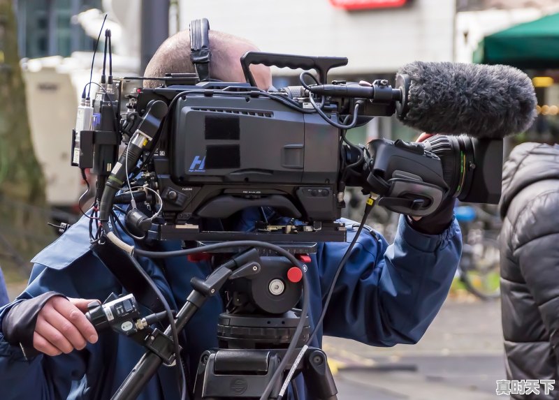 1、剪刀手爱德华导演_大鱼电影导演 - 真时天下