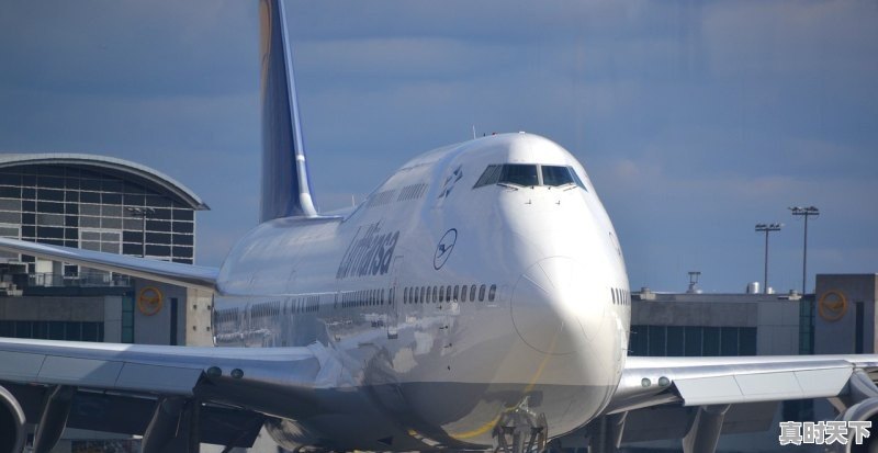 1、2021全球电影票房排行榜前十,最新电影全球票房排行榜前十名 - 真时天下