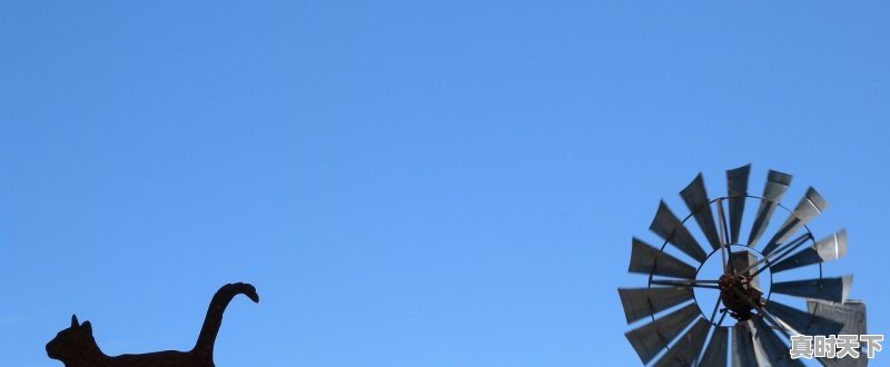 1、2022年热播动画电影有哪些,最新电影动画2022年上映的电影 - 真时天下