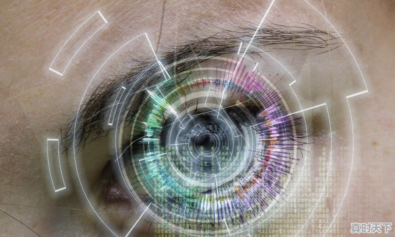 1、四不伤害和四不放过指的是什么，体制创新和科技创新什么意思 - 真时天下