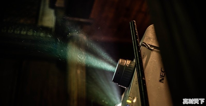 1、2023年影院上线的电影有哪些_2023年12月31上映的电影有哪些 - 真时天下