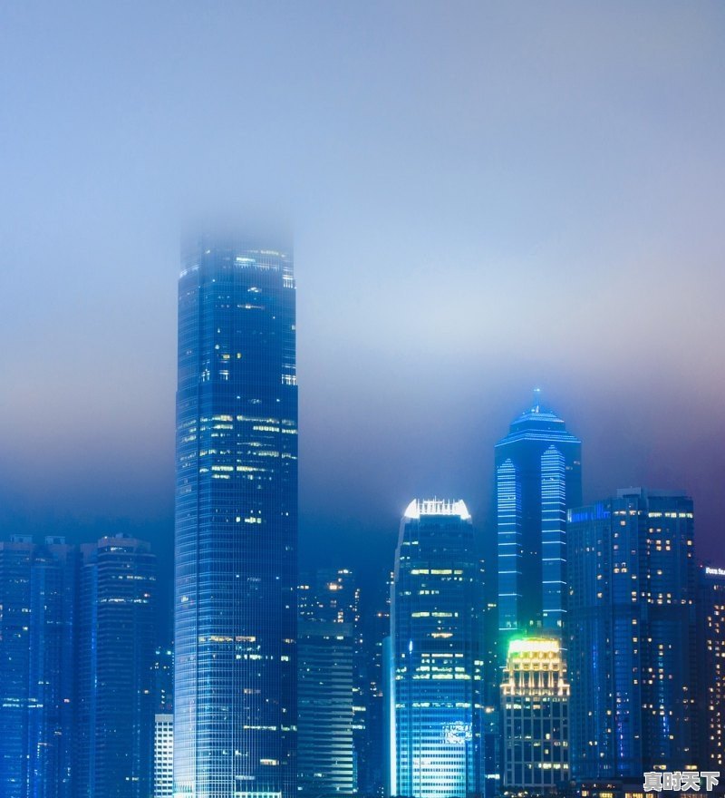 1、上海国际电影节在什么地方,上海电影节在哪举办 - 真时天下