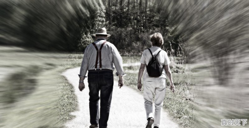 1、宁德福鼎天气,宁德福鼎天气 - 真时天下