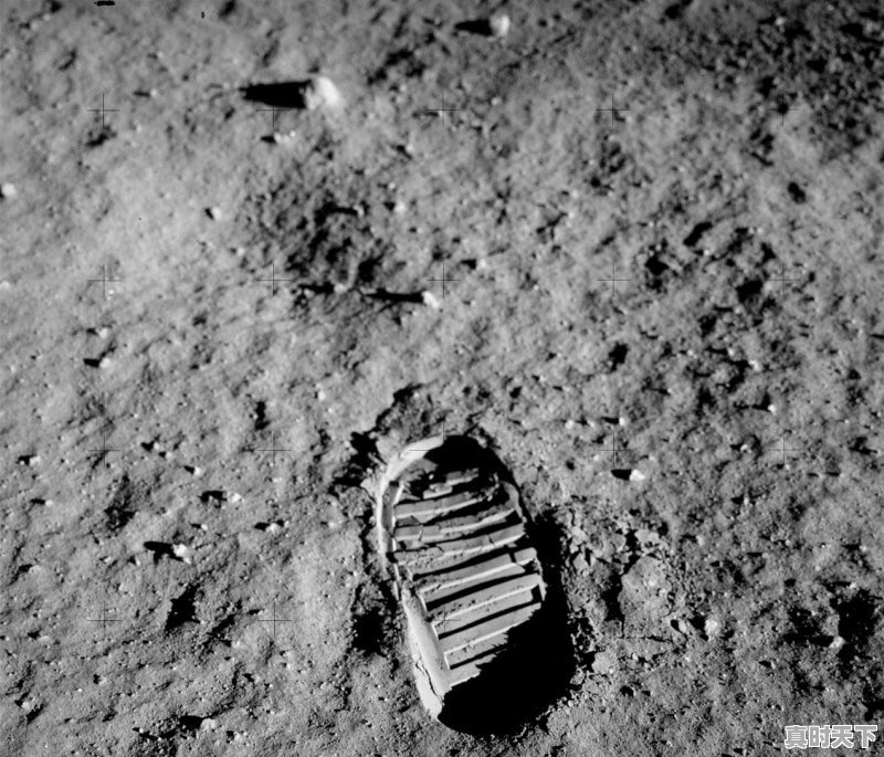 1、2022年12月即将上映的电影，2022年最新电影上映表12月份下映 - 真时天下