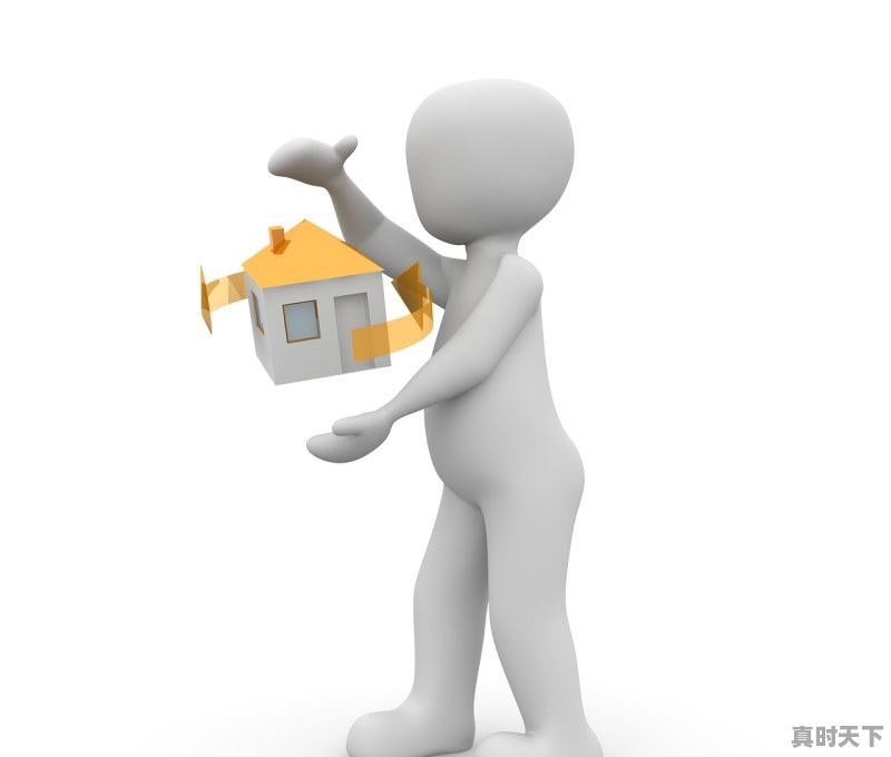 1、2022年年底有什么新影片上映,2022年12月份最新电影上映 - 真时天下