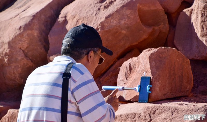 1、鸡毛飞上天光荣时刻男主_2015贾樟柯执导的影片 - 真时天下