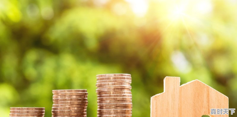 1、我国数字经济发展有哪些保障措施,增强科技创新服务能力 - 真时天下