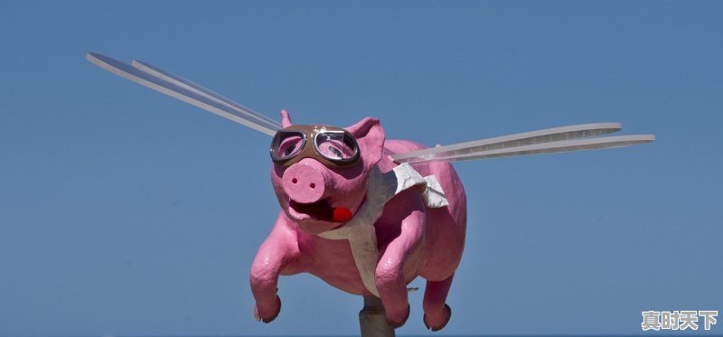 1、2023年上映的动画大电影_半斤八两动画片上映时间 - 真时天下