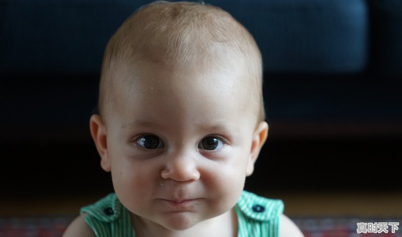 1、二手车过户有车坐垫可以吗,二手车坐垫包还是不包的好 - 真时天下