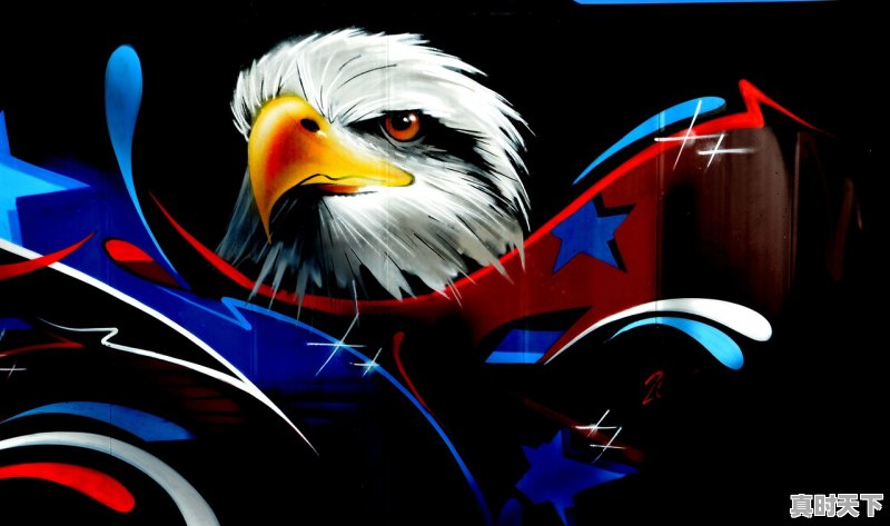 1、特别刀的动漫，刀子多的动漫推荐 - 真时天下