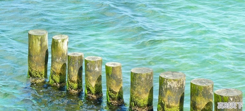 1、济南天气如何啊,济南天气怎么样 - 真时天下