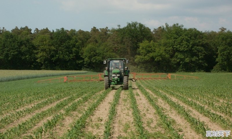 1、安徽六安高温要持续多久_六安梅雨季节有多少天 - 真时天下