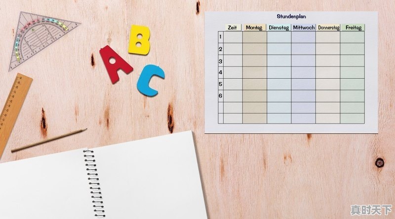 1、十四五时期12项重点任务具体目标_幼儿教师为实现职业目标,在专业技能方面要有哪些提高 - 真时天下