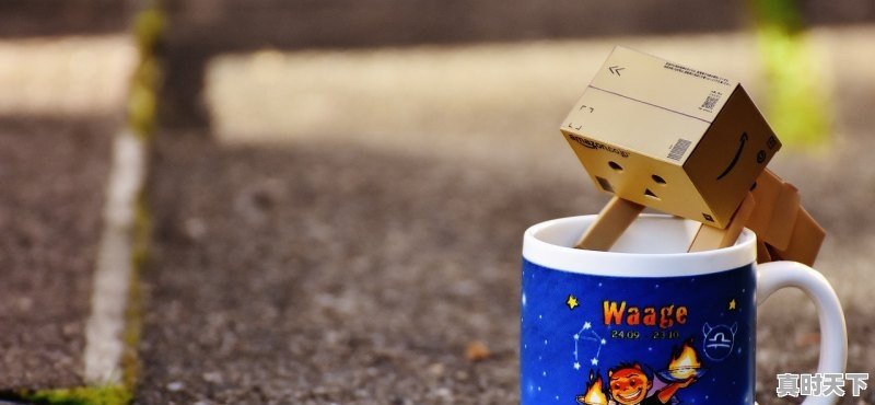 1、春芽杯金牌用什么做的,电影节纪念品有哪些东西可以卖掉 - 真时天下