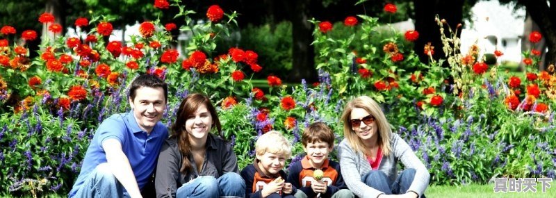 1、长春电影节什么时候结束,长春电影节一共多少届了啊 - 真时天下