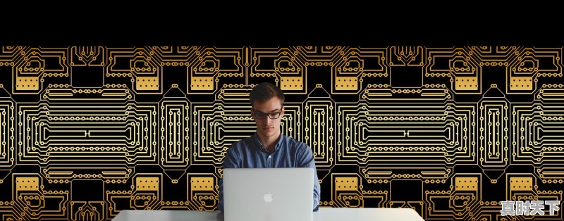 1、扫毒4什么时候开机,林峰最新电影上映2022年 - 真时天下