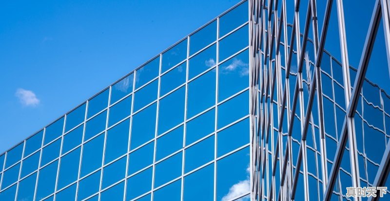 1、一只股票允许一个人买多少,股票能买多少股 - 真时天下