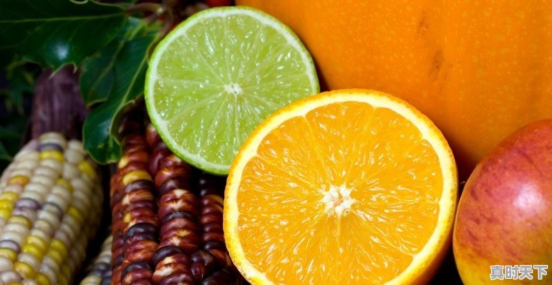 1、先玉1483玉米种多少钱一袋，玉米苗今日价格 - 真时天下