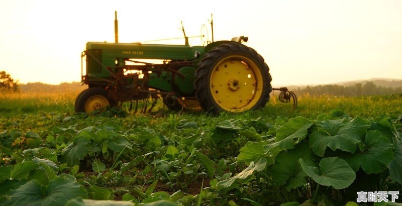 1、常发809和迪尔哪个型号差不多,二手车约翰迪尔c110 - 真时天下