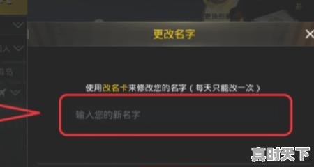 6、pubg名字为什么会变_绝地求生进去后怎么创建不了名字 - 真时天下
