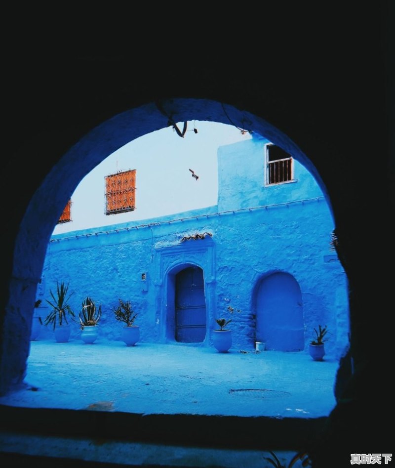 1、2020十部顶级欧美电影推荐_2021年5月上映的电影哪个好看 - 真时天下