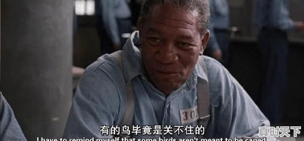 2、有什么好的电影好看啊,最新电影有什么推荐的吗 - 真时天下