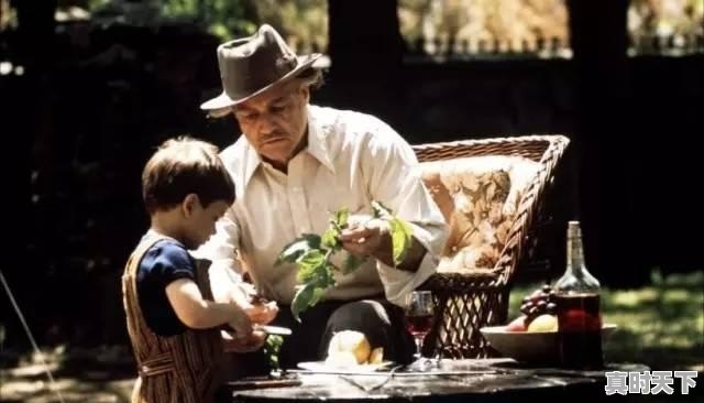 11、有什么好的电影好看啊,最新电影有什么推荐的吗 - 真时天下