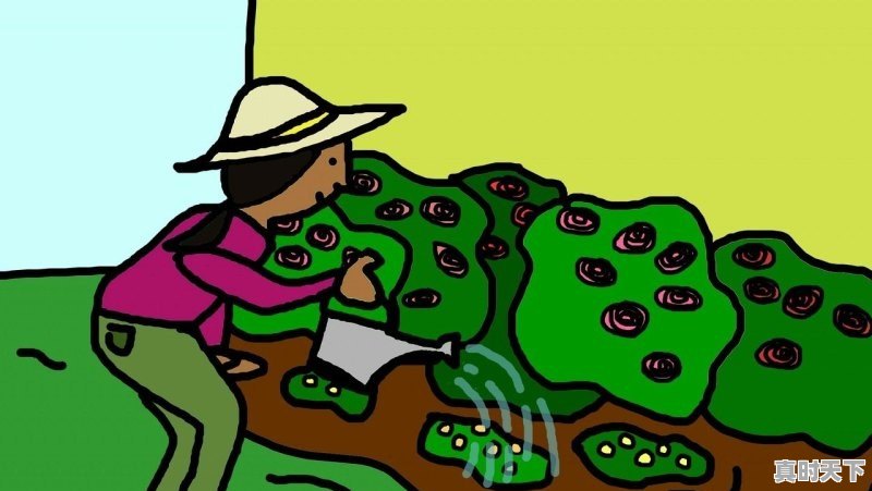 1、体育动漫兴趣班学什么_男生和女生撸铁的漫画 - 真时天下