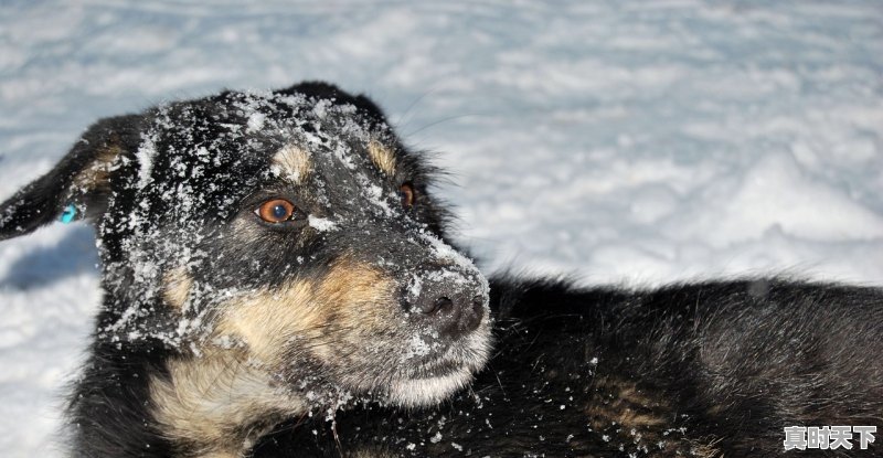 1、幼儿园串烧名字有创意好听_好听的手机充电器名字 - 真时天下