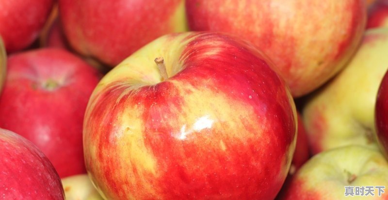 1、西安7月份有什么水果,今日临渭区苹果价格 - 真时天下