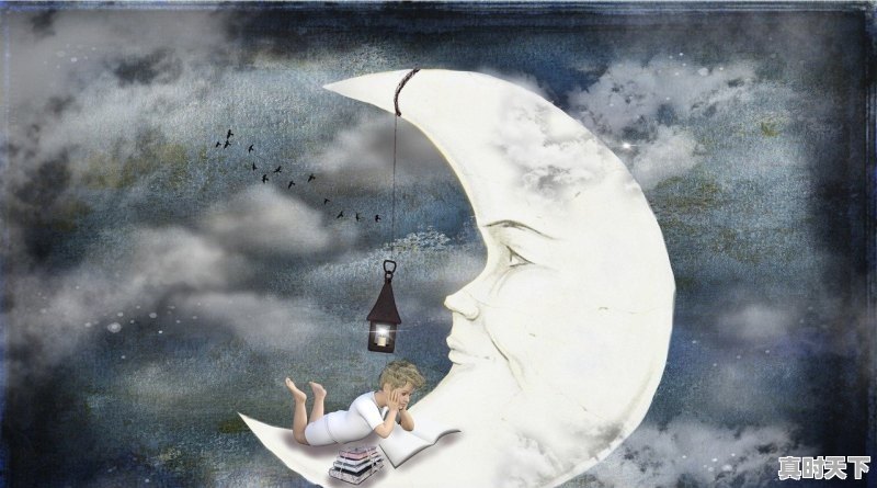 1、2022寒假会有什么电影上映_2022年光之美少女主题是什么 - 真时天下