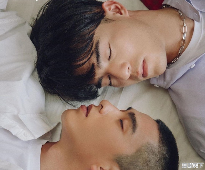 1、2021年11月29上映的电影有哪些_哪位介绍几部好看的同人电影 - 真时天下